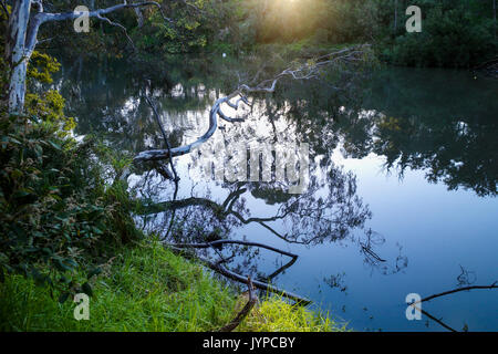 Reflexionen in den Yarra River am späten Nachmittag Sonne. Melbourne, Victoria, Australien Stockfoto