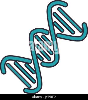 DNA-Kette Symbol auf weißem Hintergrund Vector Illustration Stock Vektor