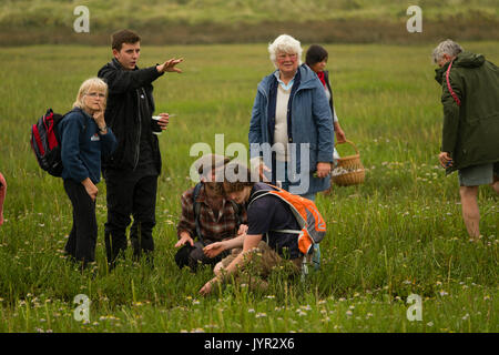 Eine Gruppe von Menschen, die von einer natürlichen Ressourcen Wales (NRW) Wärter, Futter für wilde Marsh Queller (salicornia) und anderen Lebensmitteln wächst an der Küste und Sumpfgebiete an ynyslas Naturschutzgebiet im Dyfi Biosphäre in Mid Wales UK Stockfoto