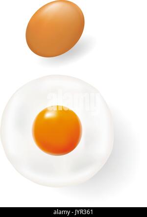 Eier und Spiegeleier auf weißem Hintergrund EPS 8 isoliert Stock Vektor