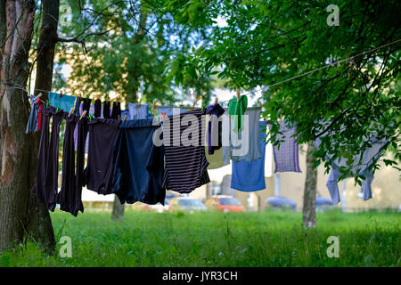 Kleidung trocknen auf der Wäscheleine zwischen grünen Bäumen auf frische Luft Stockfoto