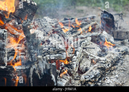 Schwelende Protokolle und Feuer. Stockfoto
