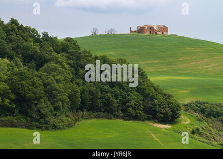 Ein verlassenes Bauernhaus auf dem Land rund um die Stadt von Chiusure, in der Nähe von Asciano, Val d'Orcia, Toskana, Italien. Stockfoto