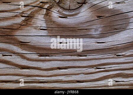 Rauhe graue Holzmaserung Hintergrund mit Bohrungen Stockfoto