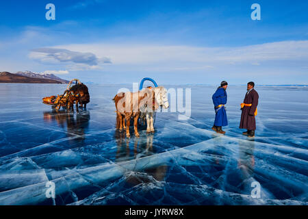 Die Mongolei, khovsgol Provinz, mit Pferd und Schlitten auf dem gefrorenen See Khovsgol im Winter Stockfoto