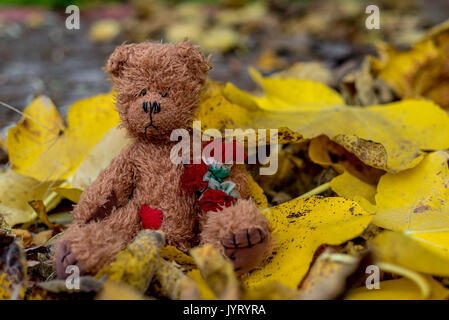 Niedlichen Teddybären in Gelb fallen die Blätter sitzen Stockfoto