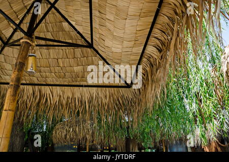 Gemütliche Essecke für Sommer Entspannung mit Freund unter Palm Sonnenschirm in der Nähe bis in die Innenseite, park Borisova Gradina, Sofia, Bulgarien Stockfoto