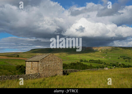 Scheune in Arkengarthdale, Yorkshire Dales National Park, North Yorkshire, England UK Stockfoto