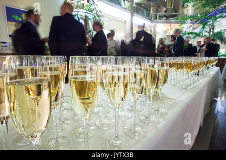 Mingel mit Champagner, Schweden. Stockfoto