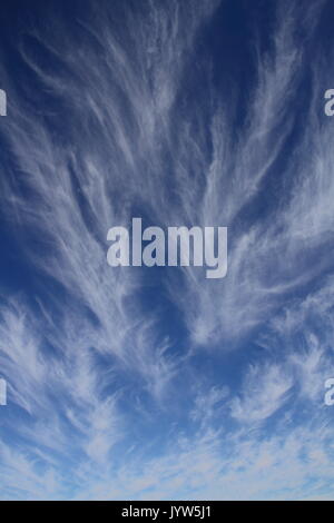 Wetter - Cirrus uncinus Wolken vor blauem Himmel mit Kopie Raum Stockfoto