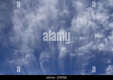 Wetter - Cirrus uncinus Wolken vor blauem Himmel mit Kopie Raum Stockfoto