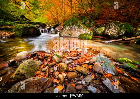 Der Dardagna fällt, Corno Alle Scale Naturpark, Bologna, Emilia Romagna, Italien Stockfoto