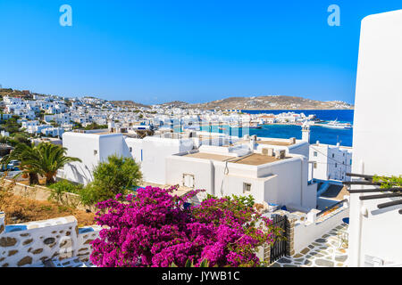 Bougainvillea Blumen auf der Straße der schönen Stadt Mykonos, Kykladen, Griechenland Stockfoto
