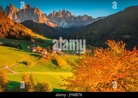 Funes Tal, Trentino Alto Adige, Italien. Santa Maddalena Dorf, das von Hügeln umgeben, mit der geisler auf dem Hintergrund und eine bunte Bäume auf dem für Stockfoto