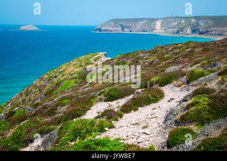 Bretagne, Frankreich. Felder von Blumen führen zu das Meer in der Bretagne. Stockfoto