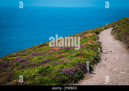 Bretagne, Frankreich. Felder von Blumen führen zu das Meer in der Bretagne. Stockfoto