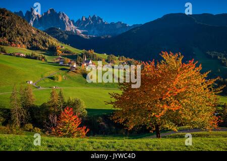 Geisler, Val di Funes, Trentino Alto Adige, Italien. Ruhige sonnige Landschaft mit Blumen und Bäumen im Vordergrund und die Berge im Hintergrund. Stockfoto