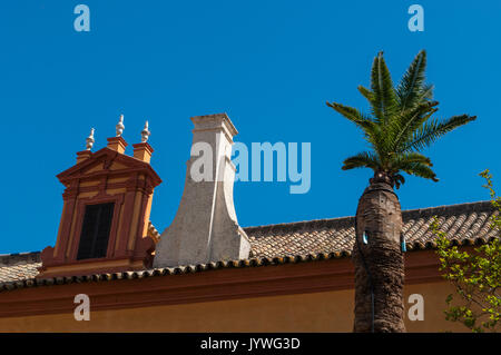 Der Patio del Crucero, ein Hof des Alcazar von Sevilla, der königliche Palast Beispiel Mudejar Architektur und Renaissance und Barock Dekorationen Stockfoto