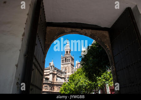 Sevilla, Spanien: der Giralda, dem Glockenturm der Kathedrale als Minarett in der Zeit der Mauren, vom Tor der Innenhof der Fahnen gesehen gebaut Stockfoto