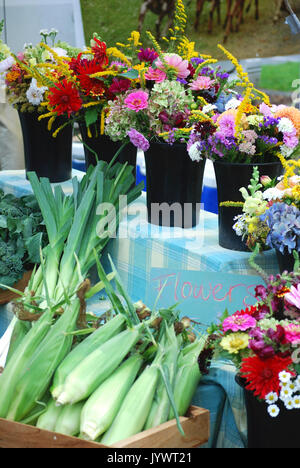 Bainbridge Island Farmers Market, Bainbridge Island, WA USA Stockfoto