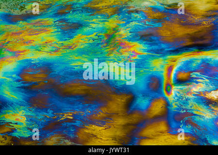 Bunte Ölteppich auf dem Wasser Stockfoto