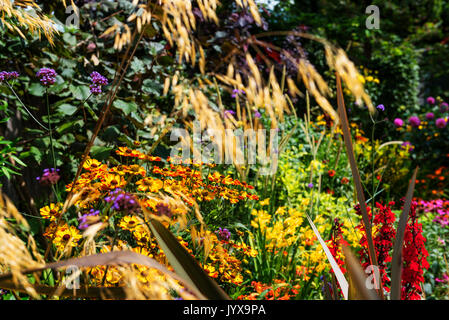 Bunte, besetzt krautigen Blume Grenze, überfüllt. Stockfoto