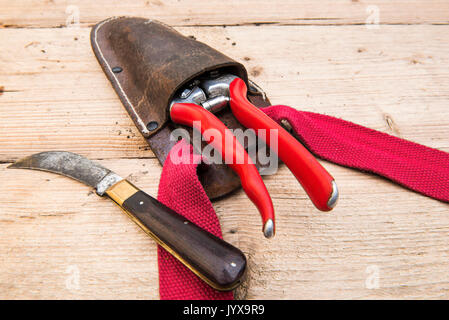 Gartenschere in Leder Holster neben einer Beschneidung Messer auf einer Holzbank. Stockfoto