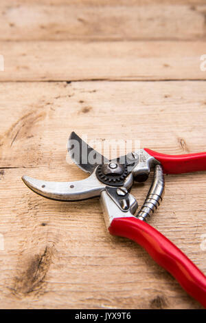 Paar Felco gartenschere Festlegung öffnen auf einer Holzbank. Stockfoto