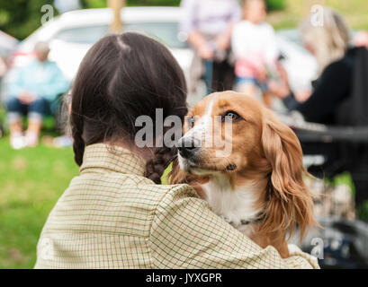 Holmesfield, Chesterfield, Derbyshire, UK. 20. August 2017. Die Barlow Jagd jährliche Terrier, Lurcher & Familie Hund bei der Jagd Zwinger wurde durch eine Reihe von Bandagen und Anhänger genossen. Mit dem Hund der Familie zeigen, besonders beliebt. Credit: Matt Extremität OBE/Alamy leben Nachrichten Stockfoto