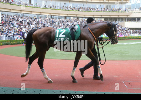 Fukuoka, Japan. 20 Aug, 2017. Narita Star One Horse Racing: Narita Star One ist durch das Fahrerlager led vor dem TV Nishinippon Corp. Sho Kitakyushu Kinen in Kokura Racecourse in Fukuoka, Japan. Credit: Eiichi Yamane/LBA/Alamy leben Nachrichten Stockfoto