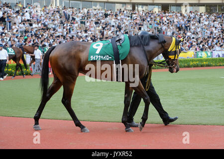 Fukuoka, Japan. 20 Aug, 2017. Diana Halo Pferderennen: Diana Halo ist durch das Fahrerlager led vor dem TV Nishinippon Corp. Sho Kitakyushu Kinen in Kokura Racecourse in Fukuoka, Japan. Credit: Eiichi Yamane/LBA/Alamy leben Nachrichten Stockfoto