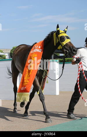 Fukuoka, Japan. 20 Aug, 2017. Diana Halo Pferderennen: Diana Halo nach dem Gewinn der TV Nishinippon Corp. Sho Kitakyushu Kinen in Kokura Racecourse in Fukuoka, Japan. Credit: Eiichi Yamane/LBA/Alamy leben Nachrichten Stockfoto