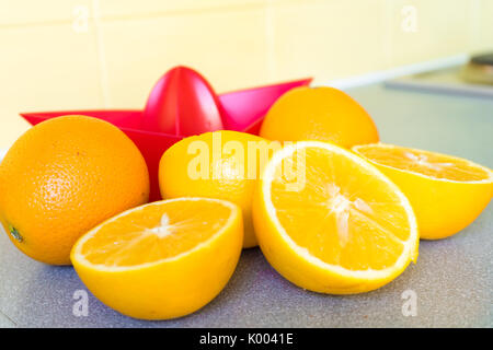 Halbiert Orangen und einer roten Kunststoff orange Entsafter Stockfoto