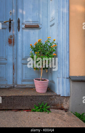 Anlage vor dem Haus Stockfoto