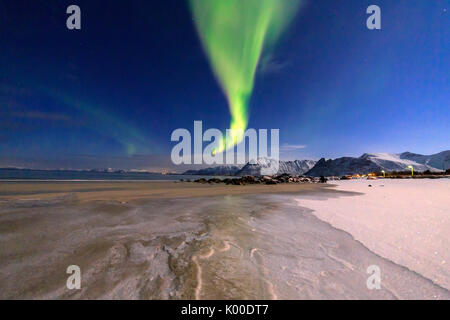 Die aurora borealis Leuchtet der Himmel und der Strand des kalten Meer von Gymsøyand. Lofoten in Nordnorwegen Europa Stockfoto