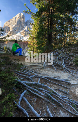 Wanderer im Wald bewundert Sass De Peiterkofel. Passo delle Erbe. Naturpark Puez-Geisler Südtirol Dolomiten Italien Europa Stockfoto