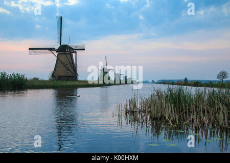 Blauer Himmel und rosa Wolken auf die Windmühlen in den Kanal in der Morgendämmerung Kinderdijk Rotterdam Südholland Niederlande Europa wider Stockfoto