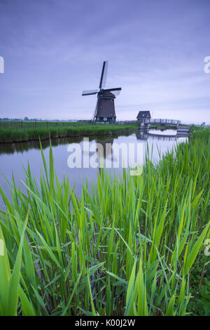 Grüne Gras Frames die Mühle in den Kanal in der Dämmerung Berkmeer Koggenland North Holland Niederlande Europa wider Stockfoto