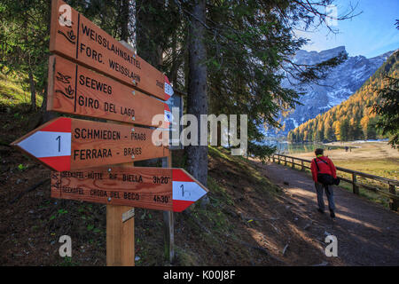 Wanderer geht in die herbstliche Landschaft rund um Lake Pragser natürlichen Park von Fanes Sennes Bozen Trentino Alto Adige Italien Europa Stockfoto