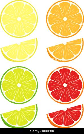 Citrus Schichten Vektor einrichten Stock Vektor