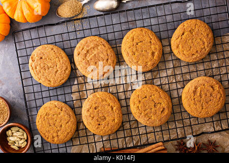 Herbst snickerdoodle Cookies mit Kürbis Stockfoto