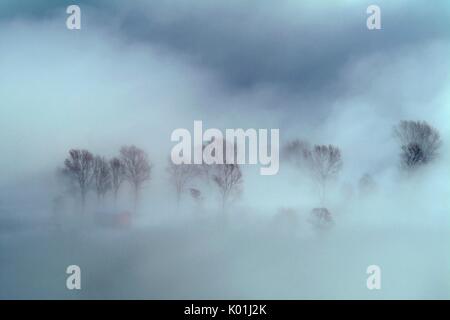 Im Naturschutzgebiet des Pian di Spagna einem dichten Nebel versteckt alles. Von den Felsen von Dascio ist es möglich, die Reserve zu bewundern. Lombardei Italien Eu Stockfoto