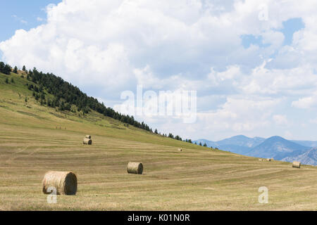 Große runde Heuballen auf einem abgeernteten Feld. Blaue Berge und Himmel mit cumulus Wolken im Hintergrund. Stockfoto