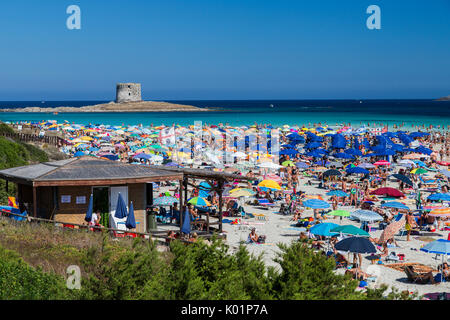 Badende im türkisfarbenen Meer La Pelosa Strand Stintino Asinara Nationalpark Provinz von Sassari Sardinien Italien Europa Stockfoto