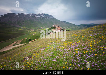 Bunte Blumen in voller Blüte Rahmen des mittelalterlichen Dorfes Castelluccio di Norcia Provinz Perugia Umbrien Italien Europa Stockfoto