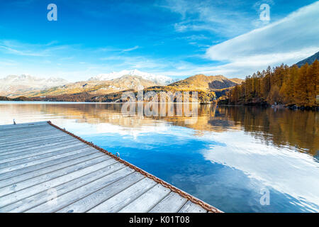 Bunte Wälder spiegelt sich in den blauen Silsersee im Herbst Plaun da Lej Oberengadin Kanton Graubünden-Schweiz-Europa Stockfoto