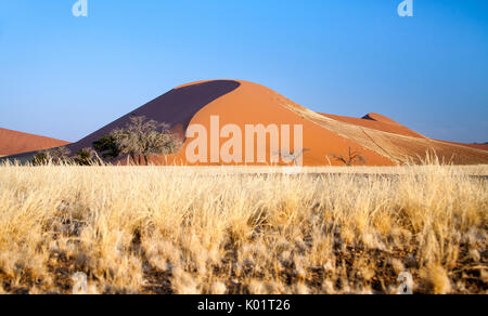 Düne 45 Der Stern dune aus 5 Millionen Jahre alten sand Sossusvlei, Namib, Naukluft National Park, Namibia, Afrika Stockfoto