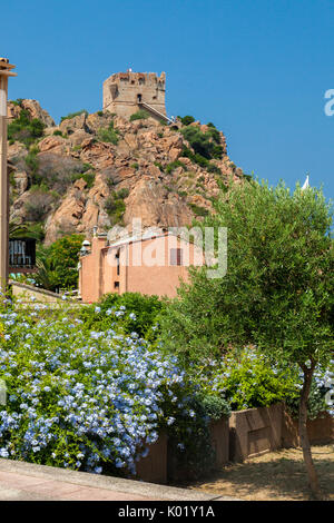 Genuesischer Turm von granitfelsen als Festung der Verteidigung von bunten Blumen Porto Korsika Frankreich Europa gerahmte gebaut Stockfoto