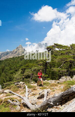 Wanderer in grünen Wäldern durch felsige Gipfel Col de Bavella (Pass von Bavella) Solenzara Korsika Frankreich Europa umgeben Stockfoto