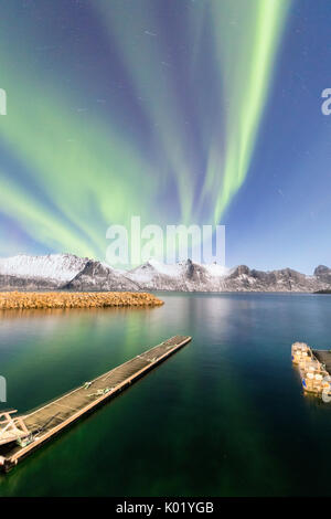 Nordlichter auf schneebedeckten Gipfeln und eisigen Meer entlang Mefjorden gesehen aus dem Dorf Mefjordvaer Senja Tromsø Norwegen Europa Stockfoto